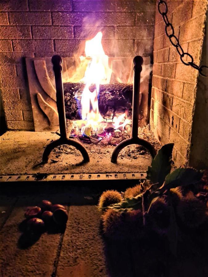 Incantevole Casa Sul Fiume, Relax E Natura Ai Piedi Della Alpi Apuane ماسا المظهر الخارجي الصورة
